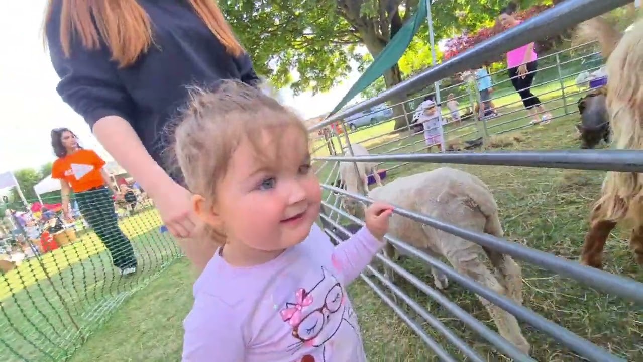 Day At The Fair