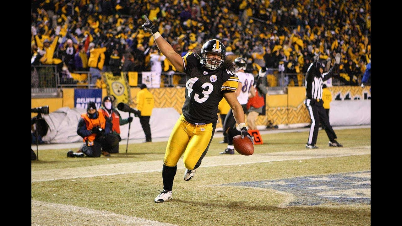 Troy Polamalu 