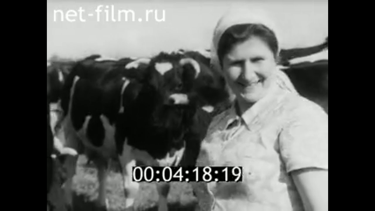 1983г. совхоз имени Дзержинского Лужский район Ленинградская обл.