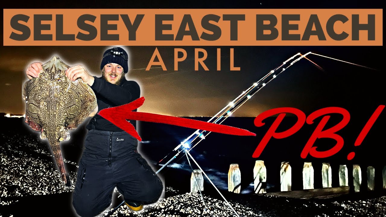 Fishing At SELSEY EAST BEACH - UNDULATE RAY Fishing | Sea Fishing UK