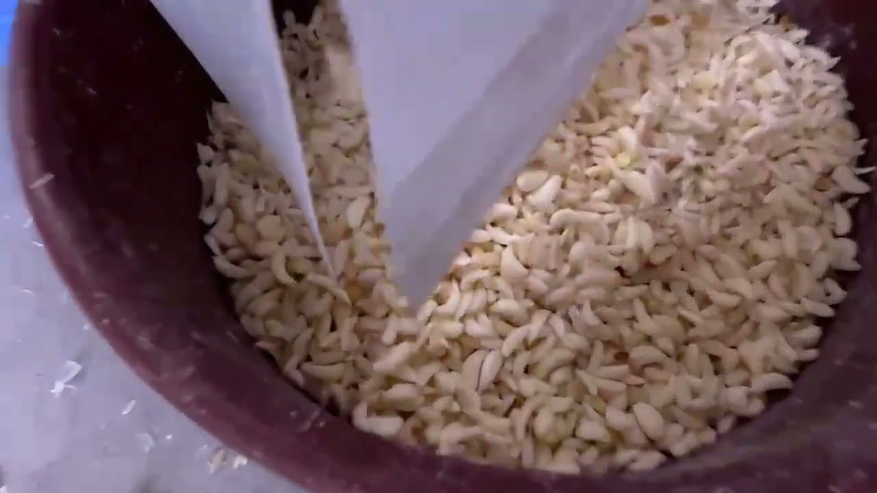 Garlic Color Sorter Machine | Color Sorter Machine | Sorter Machine | Sortex Machine