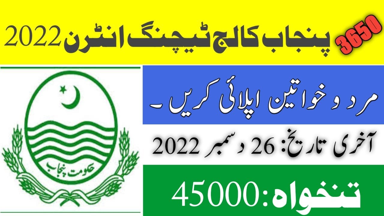 CTI Jobs 2023 || college teaching internship jobs 2023 || internship teacher education jobs punjab