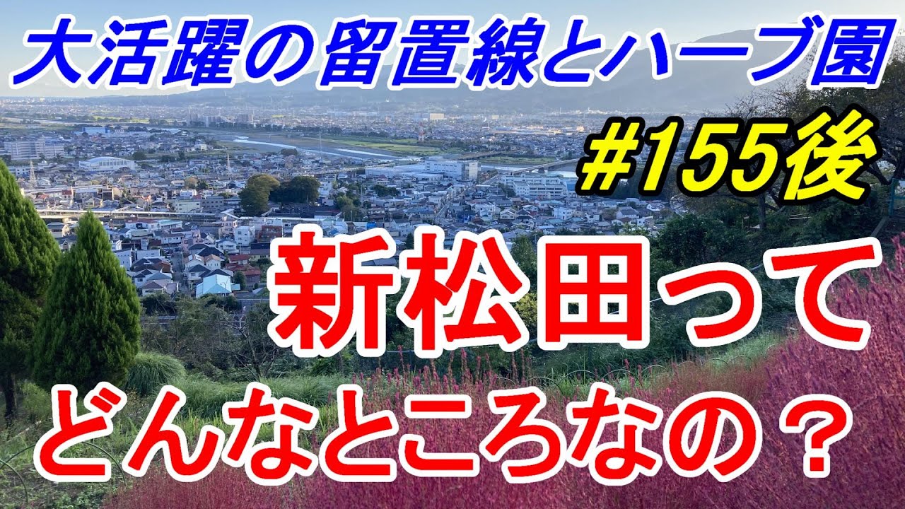 【行先探訪155後】よくある行先「新松田」ってどんなところなのかレポートします！（後編）