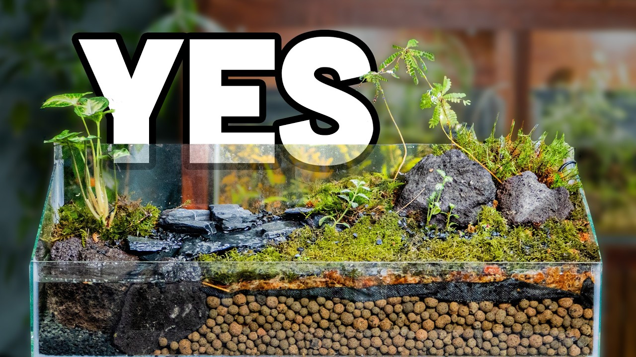 Can I make a Terrarium for Free?