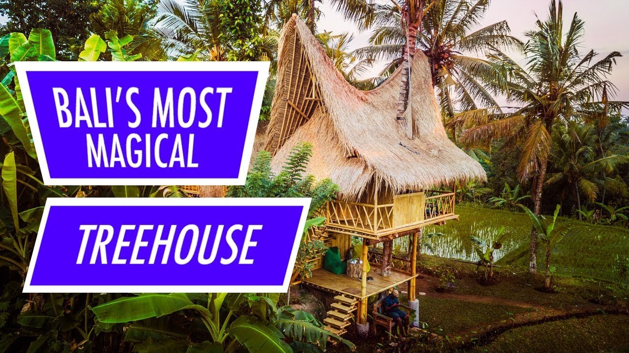 Would You Stay Here? | Bali’s Most Beautiful Airbnb Treehouse