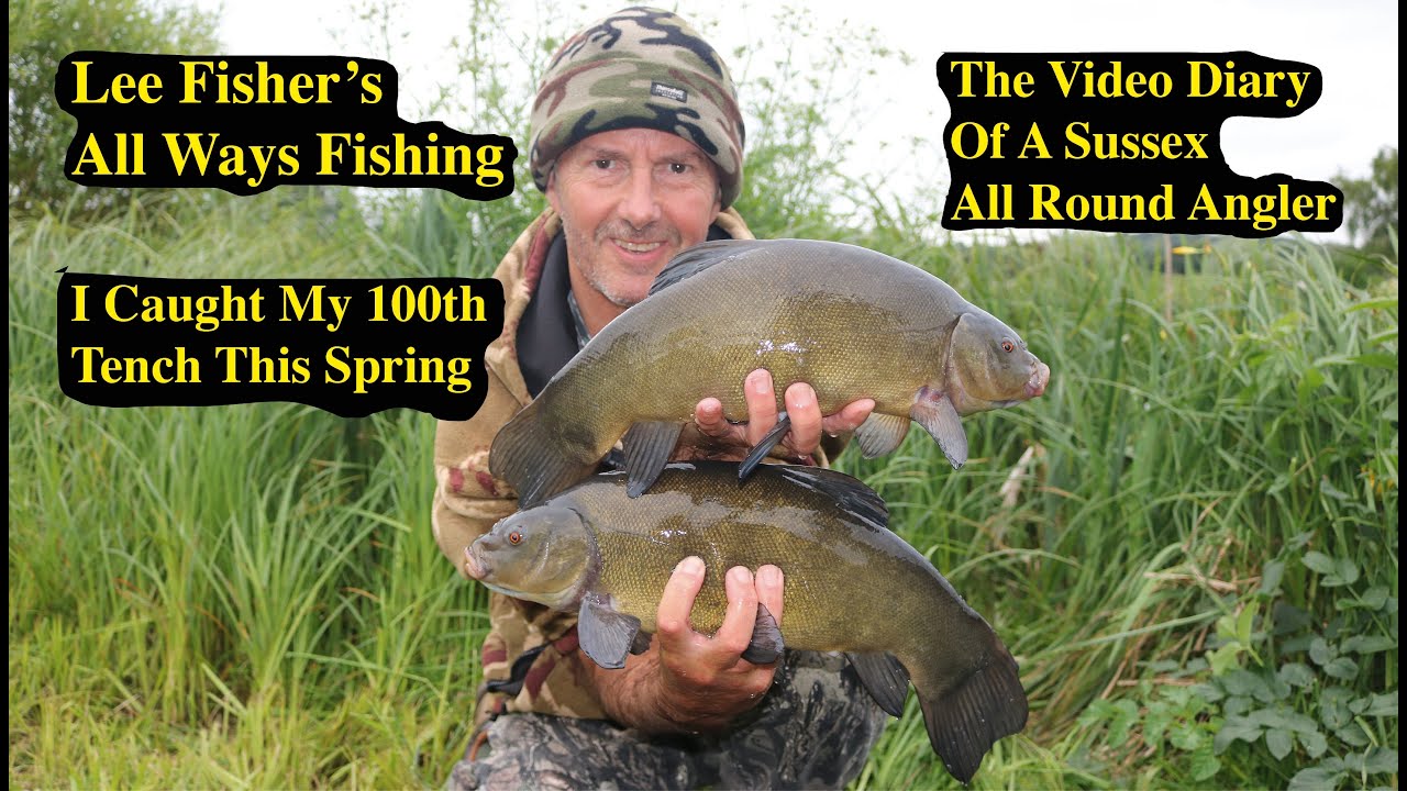 I Caught My 100th Tench This Spring