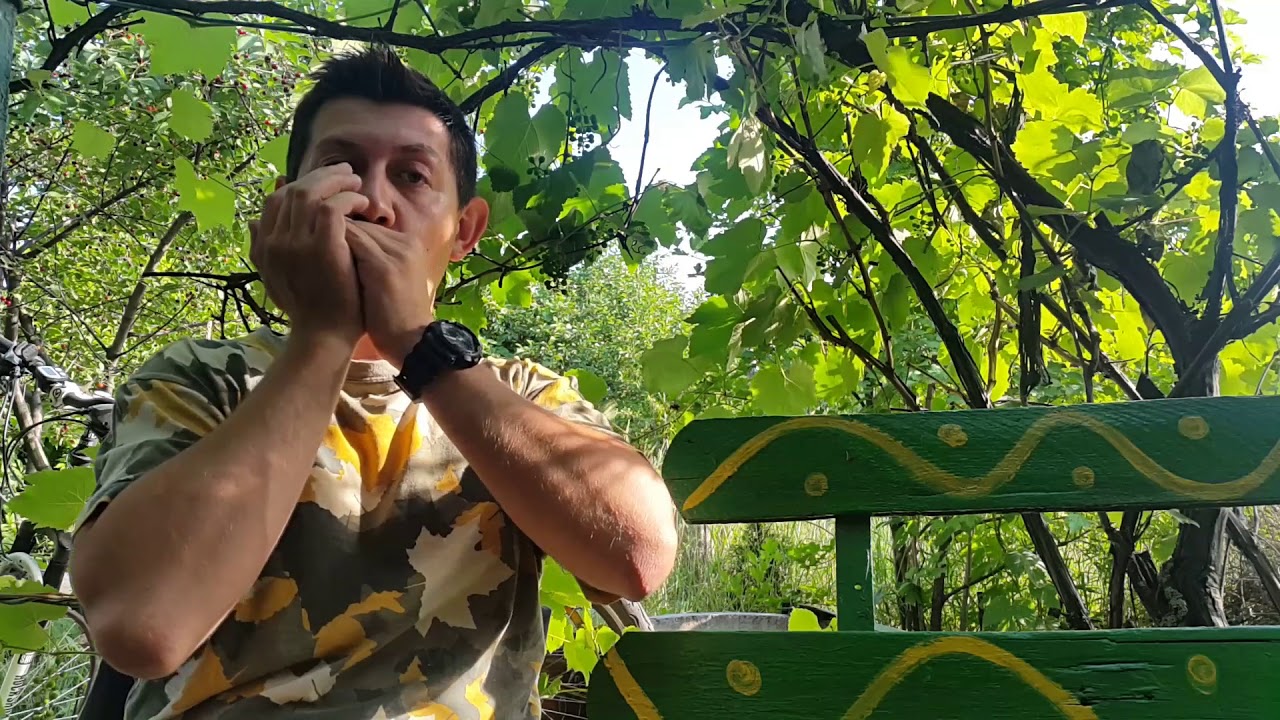 Горловое вибрато на губной гармошке  Урок № 55 Vibrato