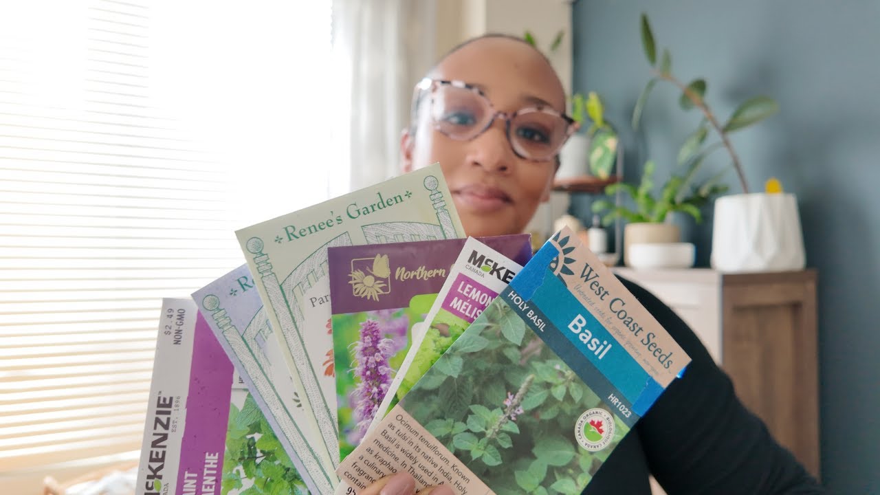 Don't WAIT! Tea SEEDS to Start in FEBRUARY (Cold Climate)