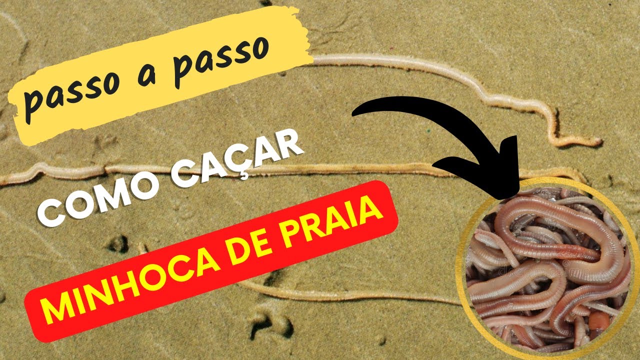 [Passo a passo] Como caçar minhoca de praia