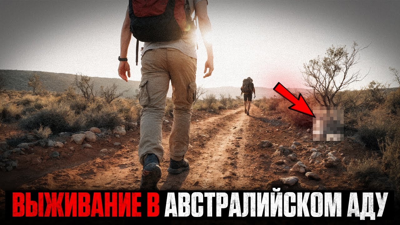 Туристы Бросили ВЫЗОВ Дикой Природе — И ПОЖАЛЕЛИ Об Этом | Сборник