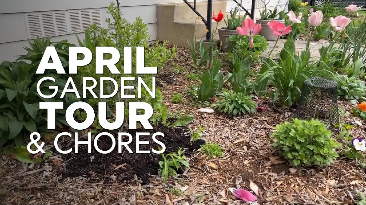 Super Busy Time of Year! April Flower and Vegetable Garden Tour and Chores PA Zone 7a
