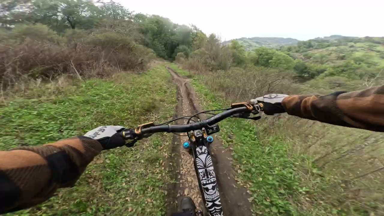 SUSCOL RIDGE || Skyline Wilderness Park || Napa, CA