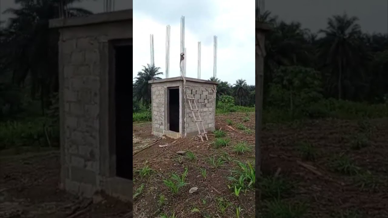 Farming In Liberia - Preparations for our Chicken, Ducks, Goose, Turkey, and Guinea Fowl Structures 