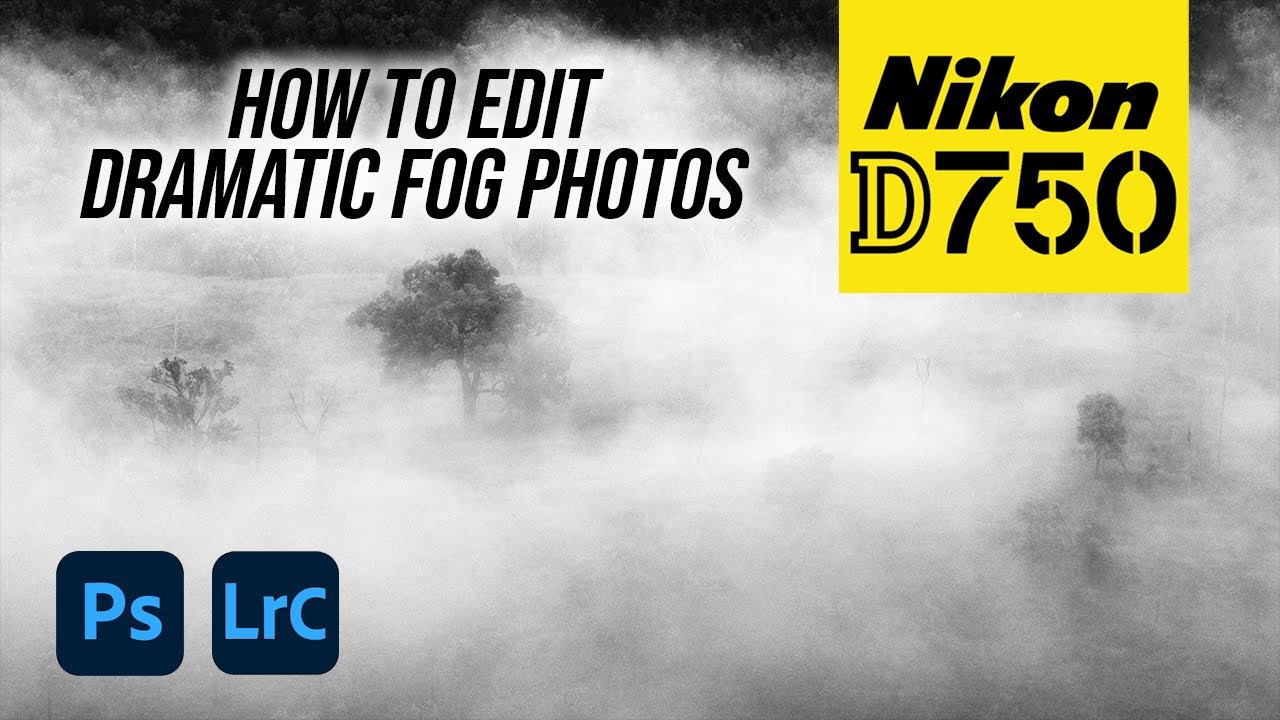 Nikon D750 | How To Edit Dramatic Fog Photos