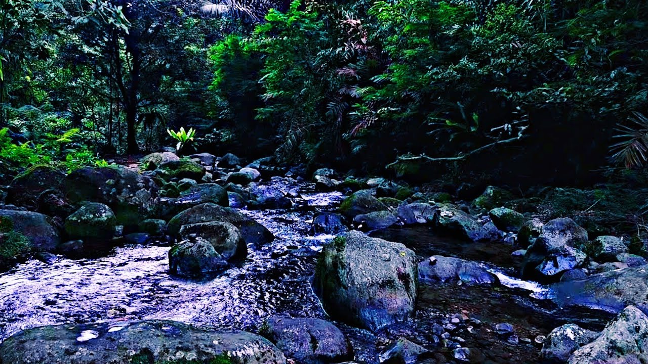 Calm Water Stream for Concentration | White Noise Nature