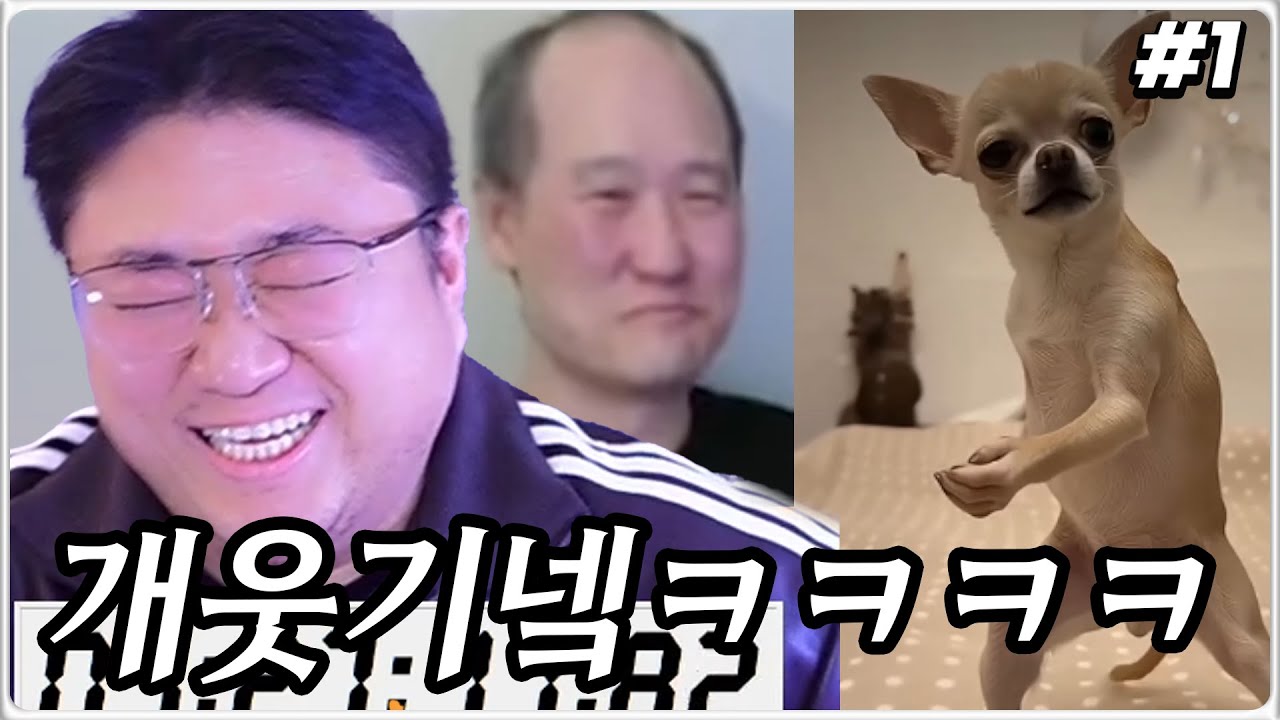 간만에 코웃 박터지게웃었네요 ㅋㅋㅋㅋㅋㅋㅋ (26.02.08-1)