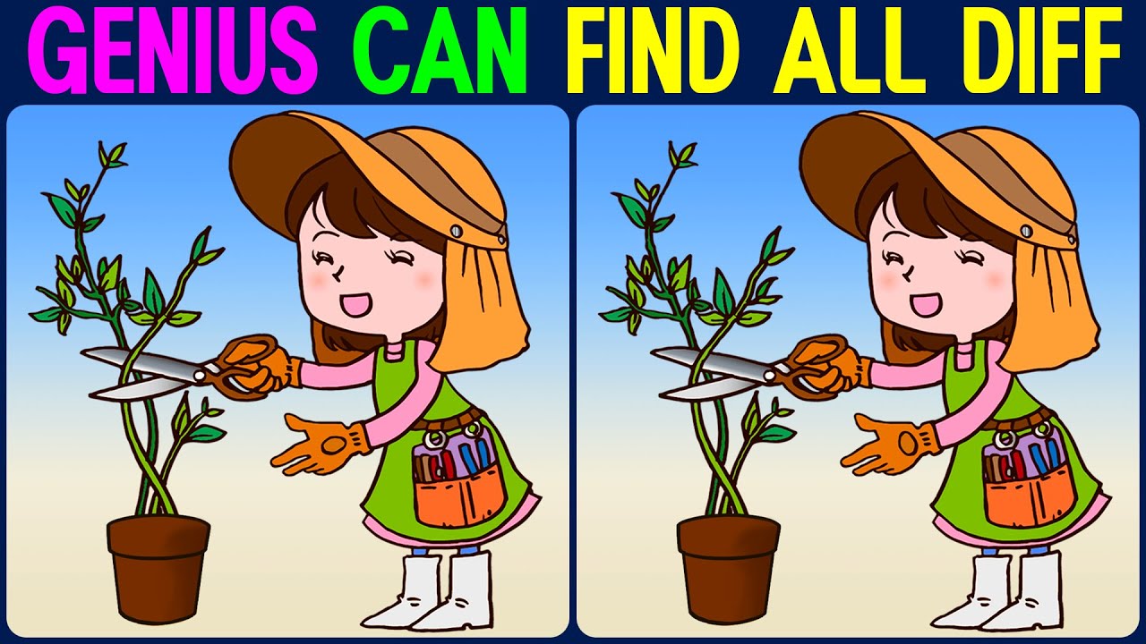 【Find the Difference】 GENIUS CAN FIND ALL DIFFERENCE