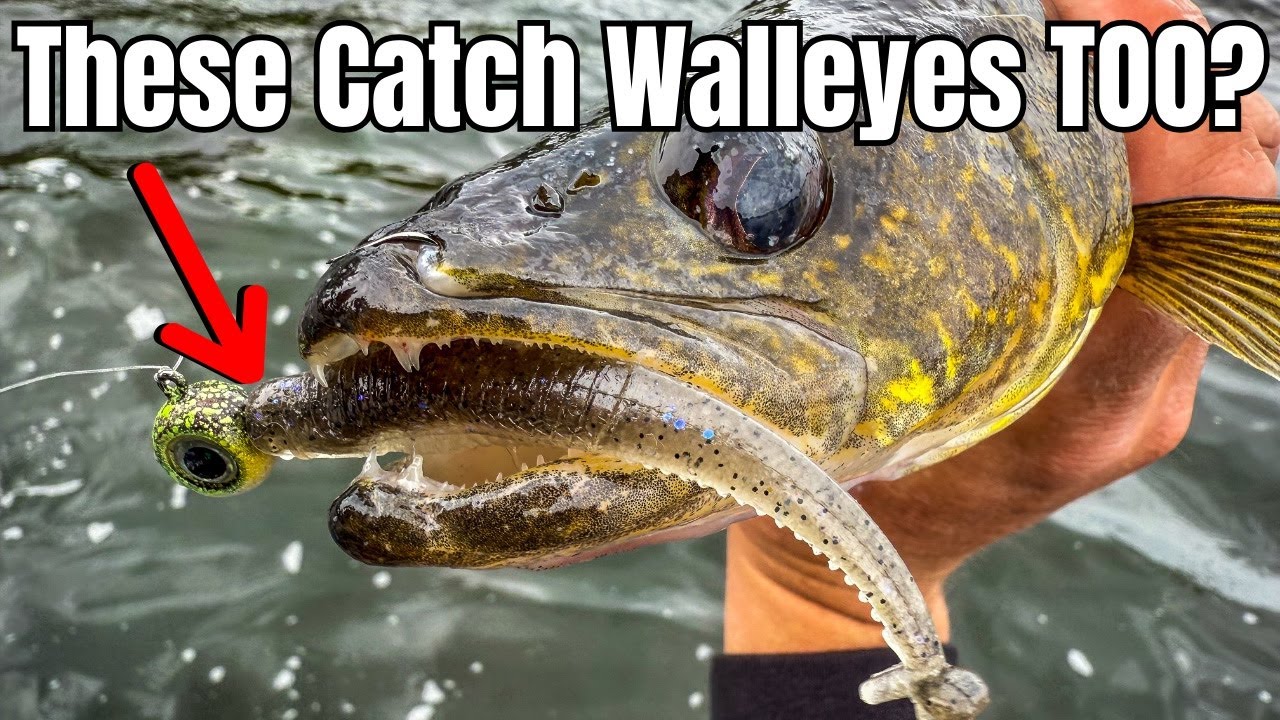 These Top 3 BASS Plastics Might Also Be the BEST Walleye Lures Ever!