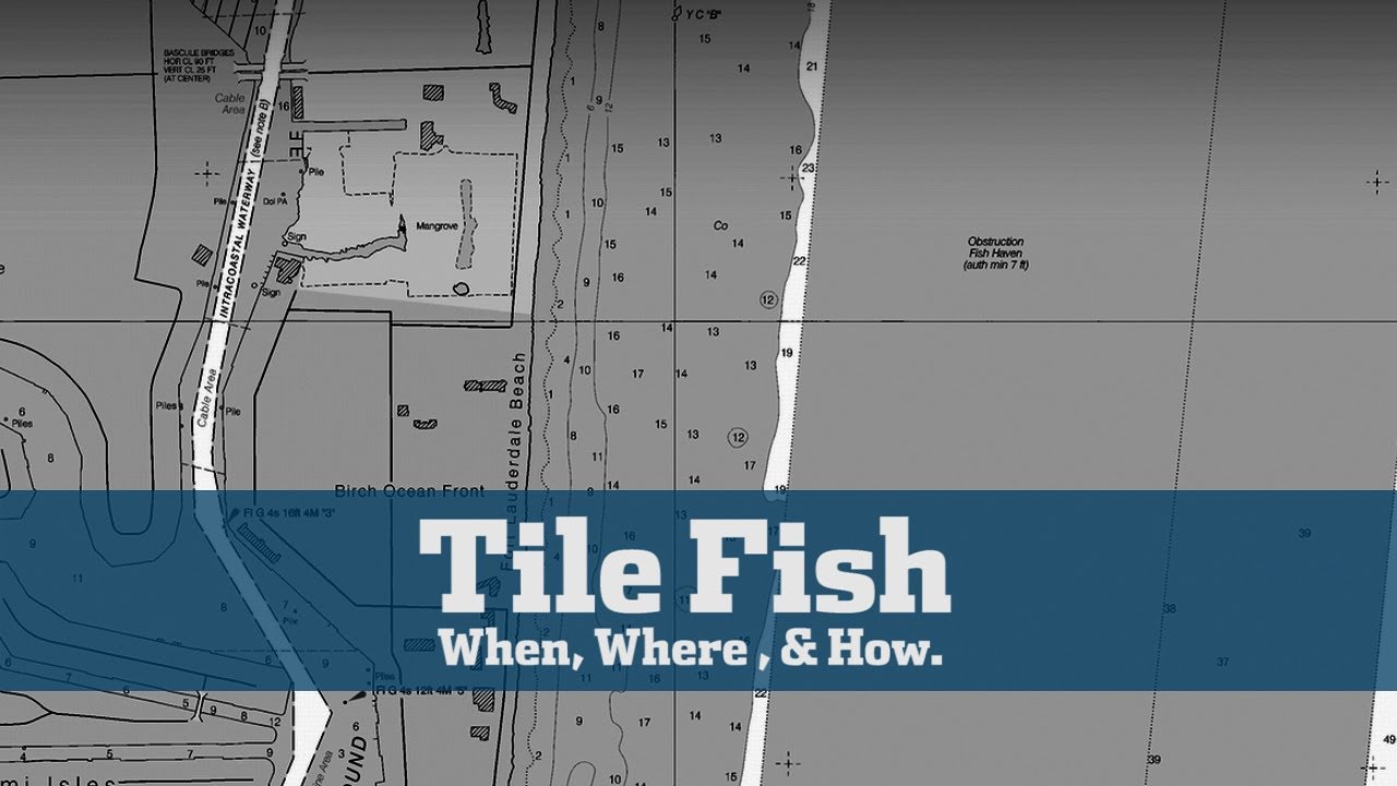 Incredible Underwater Footage Tilefish Feeding Frenzy - Florida Sport Fishing TV - Must See