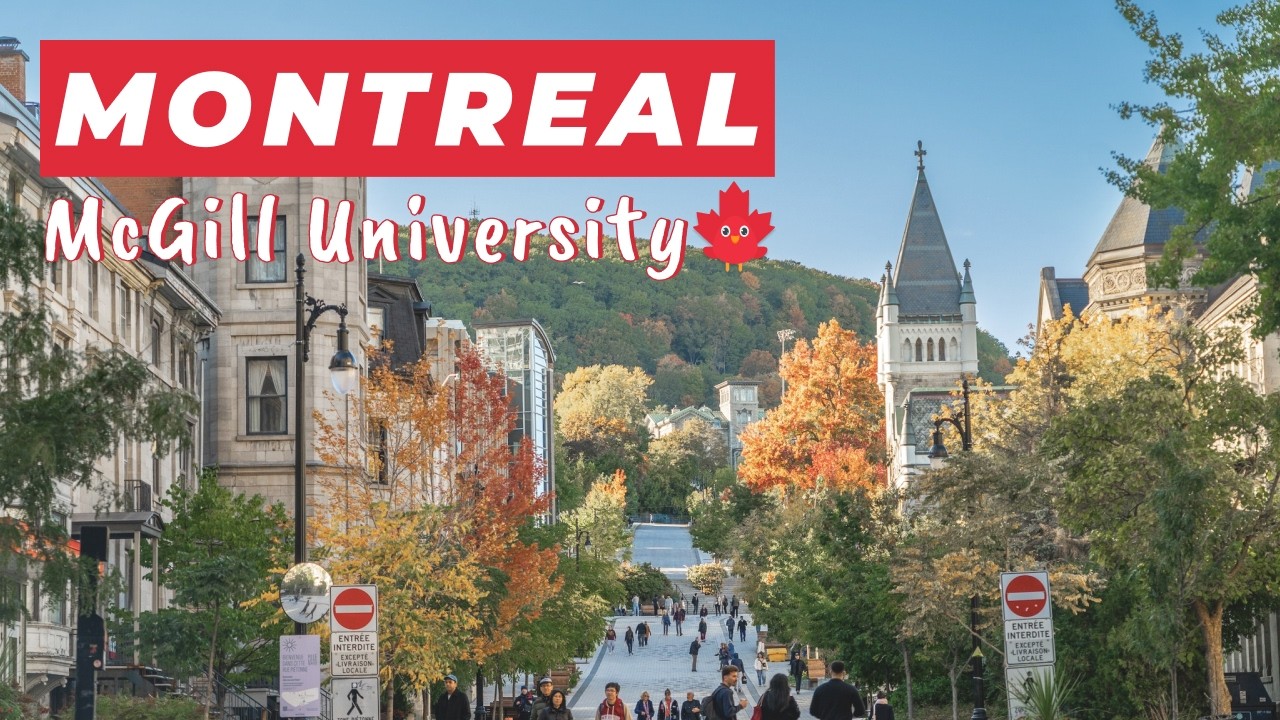Exploring McGill University: A Hidden Gem in Montreal