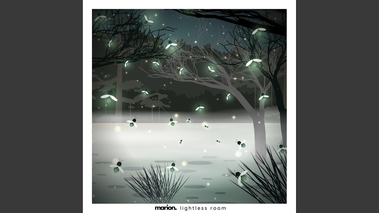 Lightless Room