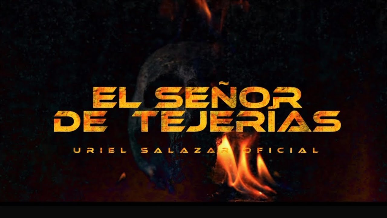 EL SE&Ntilde;OR DE TEJER&Iacute;AS 