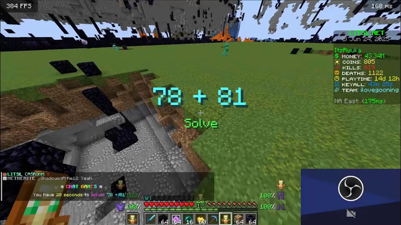 Playing LitslSmp and DonutSmp