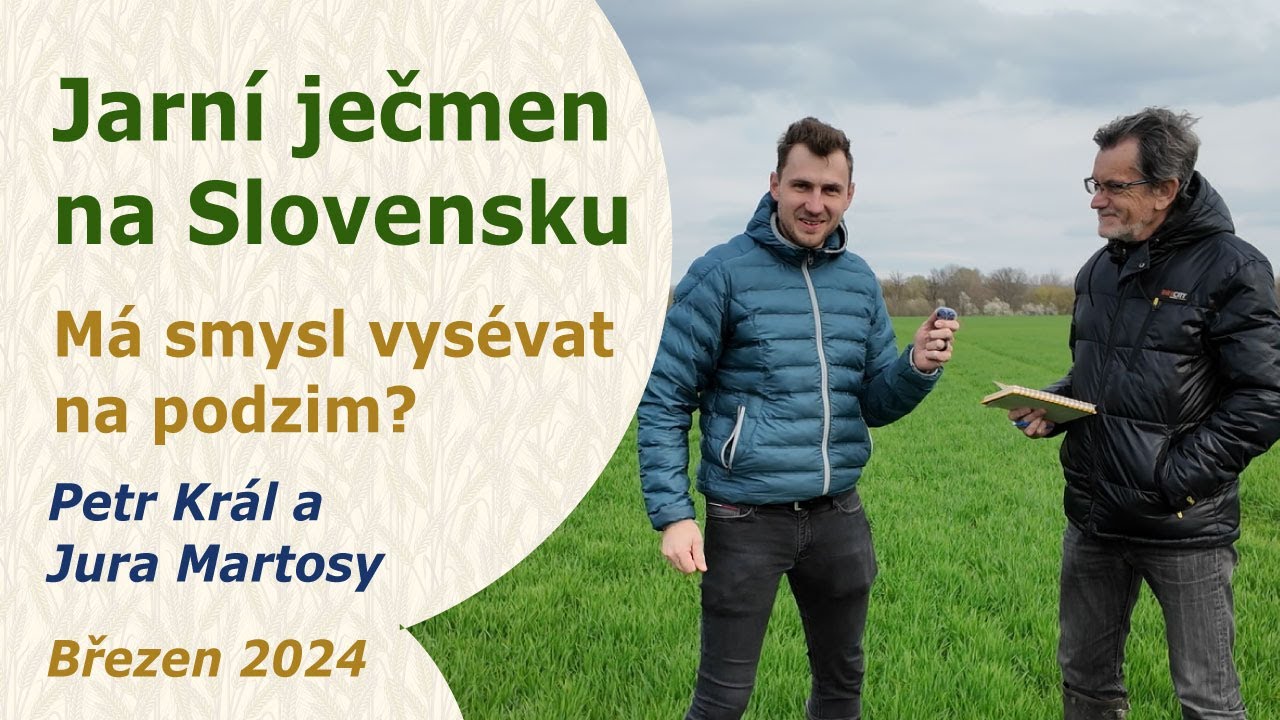Jarní ječmen na Slovensku | Vysévat na podzim? | Jura Martosy a Petr Král