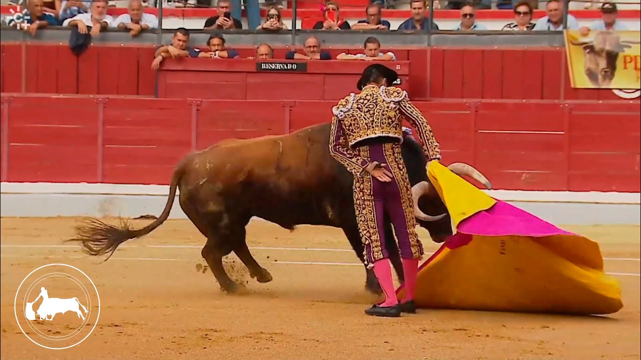David Fandila 