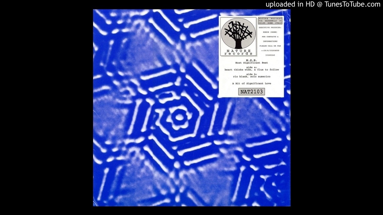 Most Significant Beat - A Flux To Follow