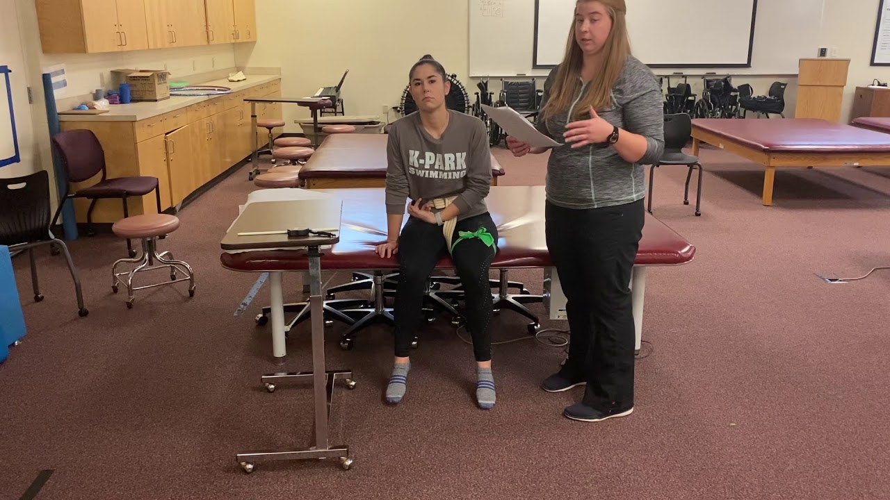 Postural Assessment Scale for Stroke Patients (PASS)