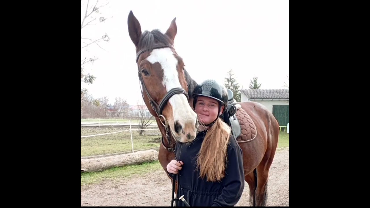 ☆Horses☆