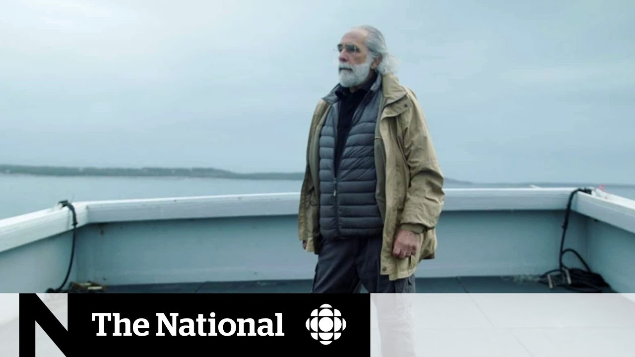 Activist pins whale sanctuary hopes on tiny Nova Scotia town