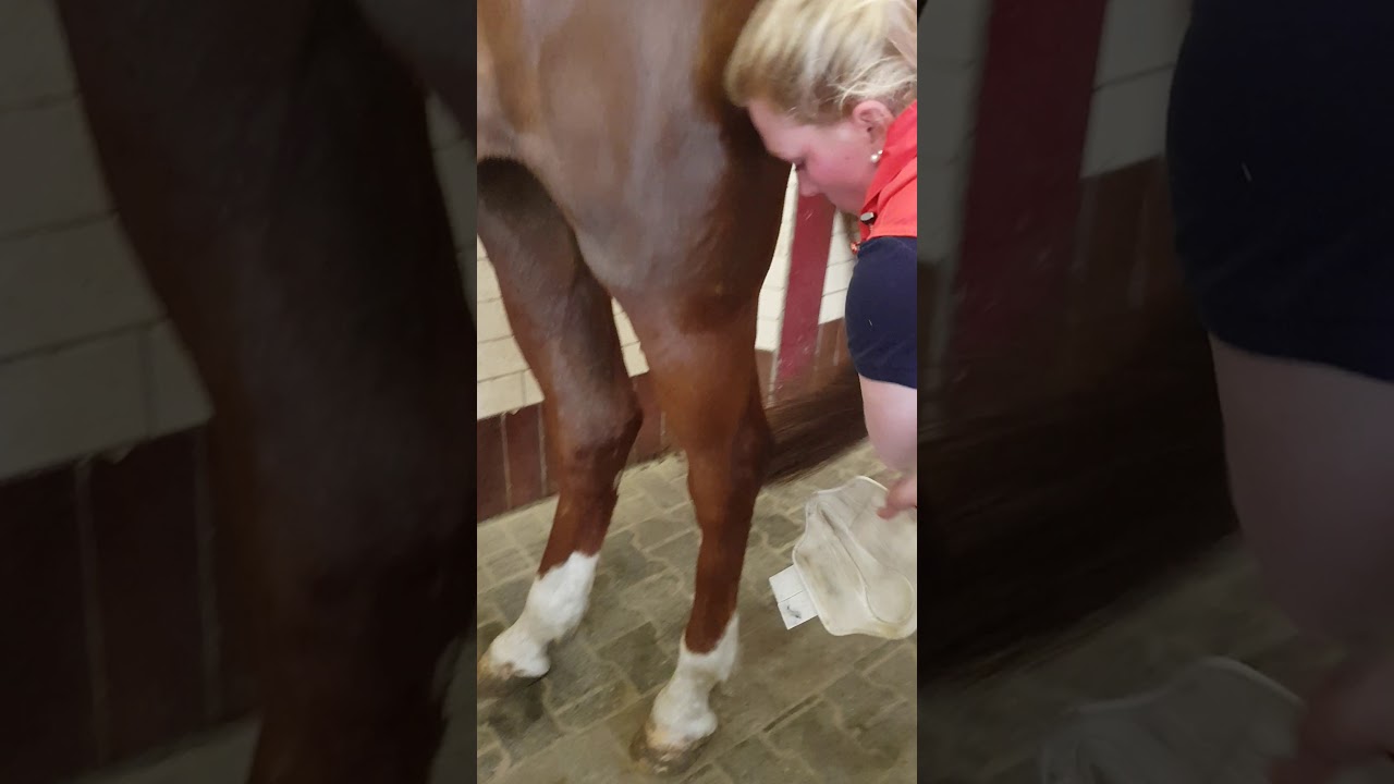 Gamaschen zum reiten.