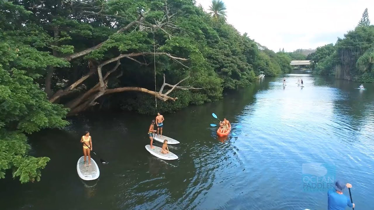 Paddleboarding in Hale'iwa- SUP adventure with the Saenz family on the Anahulu River