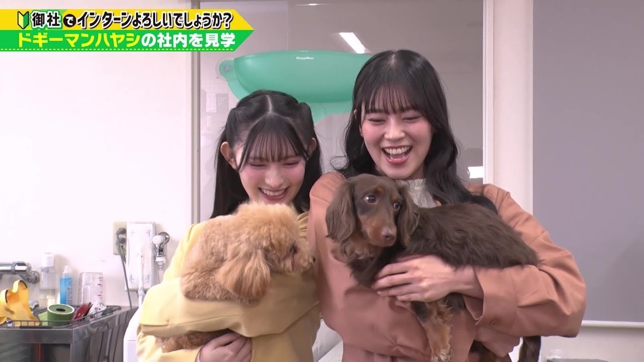 「御社でインターンよろしいでしょうか？」2/22(土)放送回を一部公開！超ときめき♡宣伝部の坂井仁香と菅田愛貴がドギーマンハヤシでインターン！