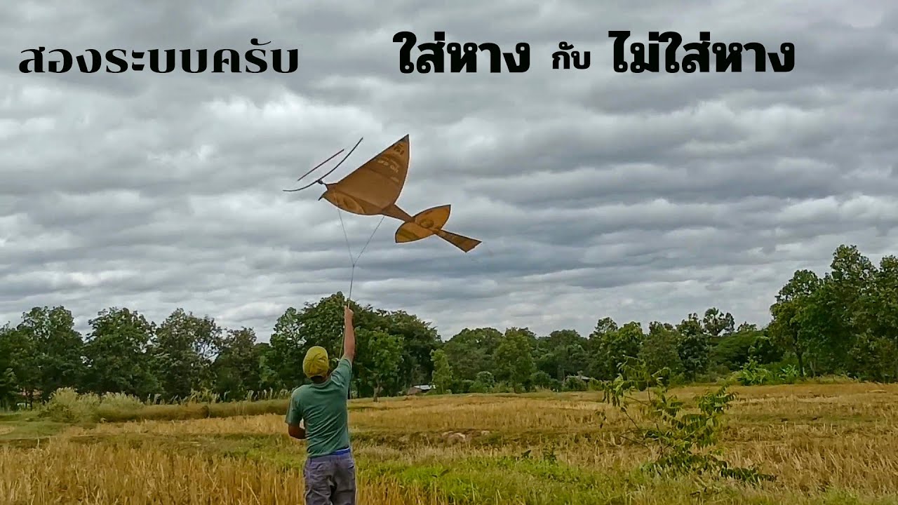 ep,293 ว่าวสองห้องขนาด150เซนตัวเดียวสองระบบ!! 