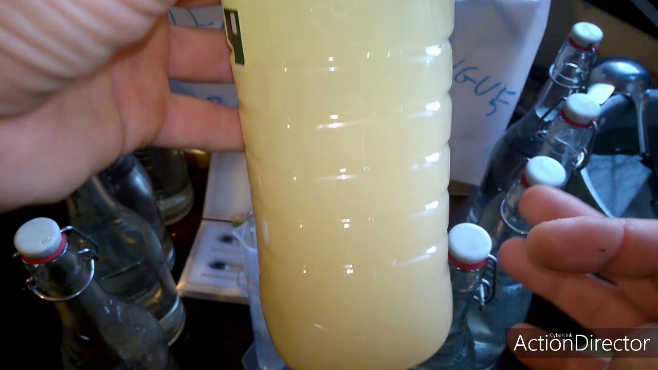 alcool maison (distillation)