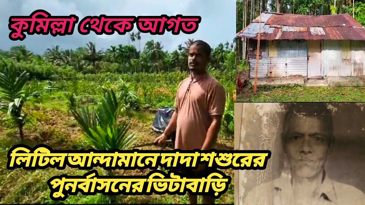 কুমিল্লা থেকে আগত লিটিল আন্দামানে দাদা শশুরের পুনর্বাসনের ভিটাবাড়ি #কুমিল্লা #vira #vlog #andamanl