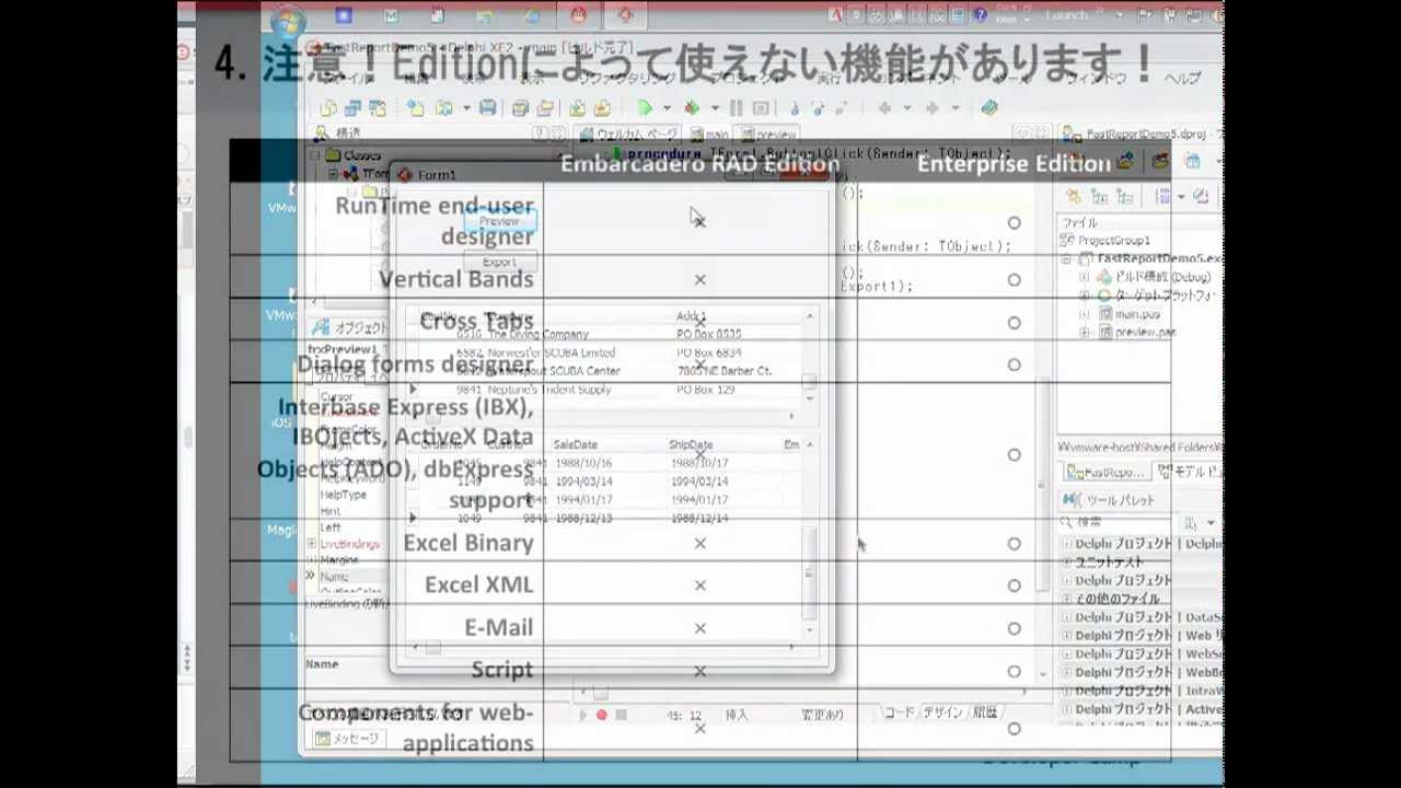 「Delphi/C++Builder + FastReportで作る実用レポート出力」 2/2