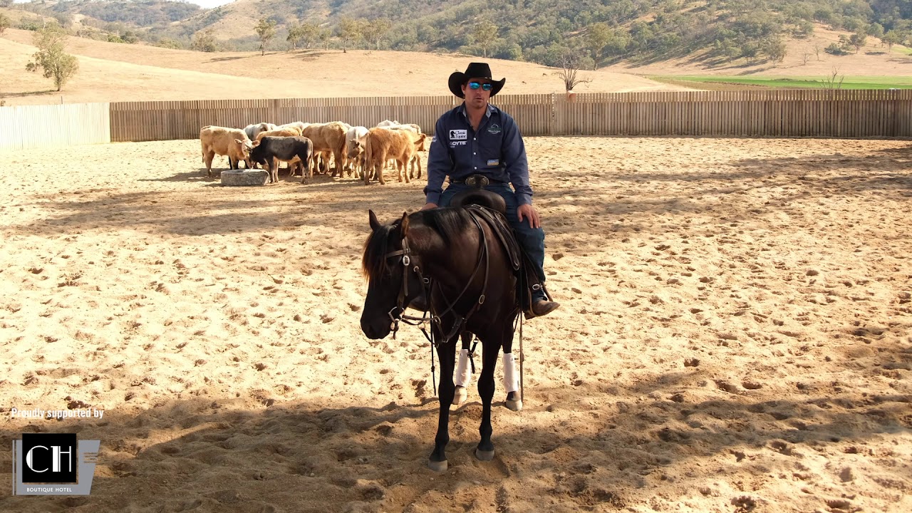 NCHA Training Video - Hugh Miles