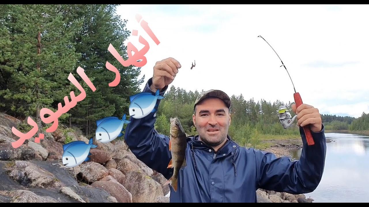 Fiska Abbore I Härjedalen.🇸🇪صيد الأبوري في السويد