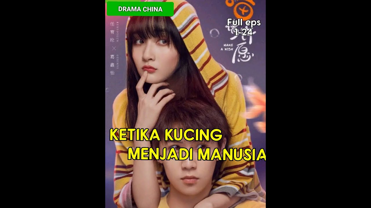 DISAAT KUCING JATUH CINTA DENGAN MANUSIA || Alur film make a wish