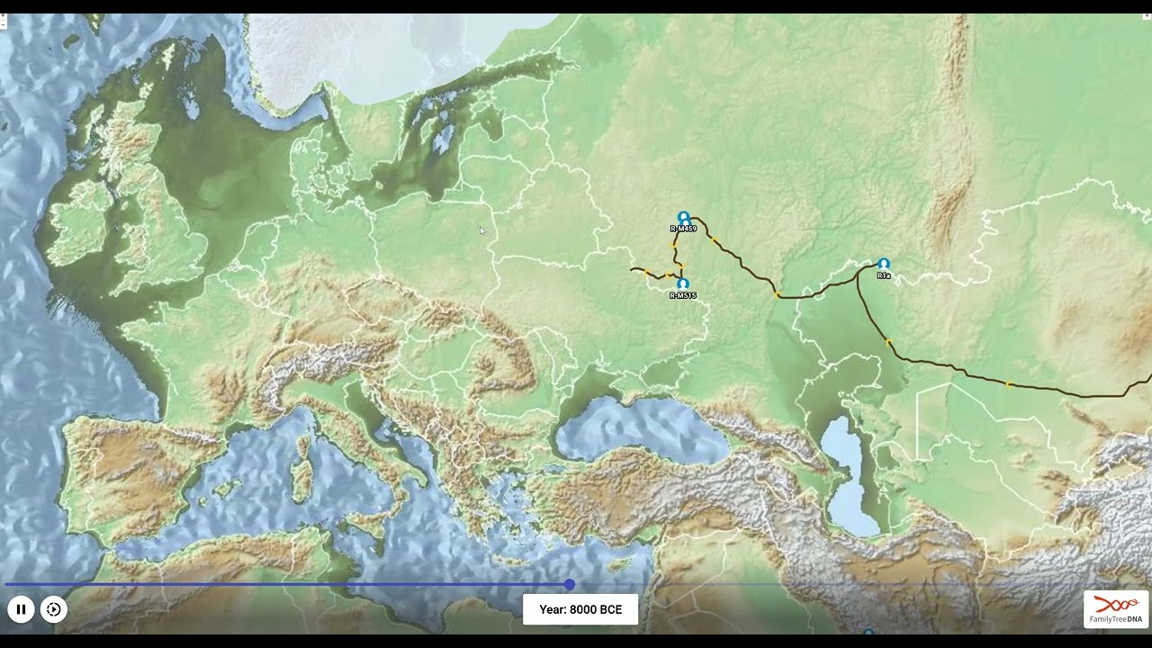 FamilyTreeDNA Discover Y DNA Haplogroup R FTE99253, 2025
