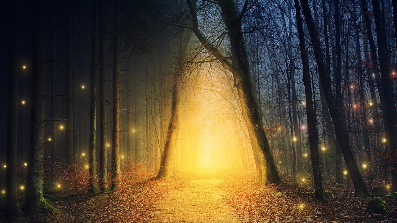 Enchanted Forest Ambience – Relaxing Nature Sounds & Magical Atmosphere | 4K
