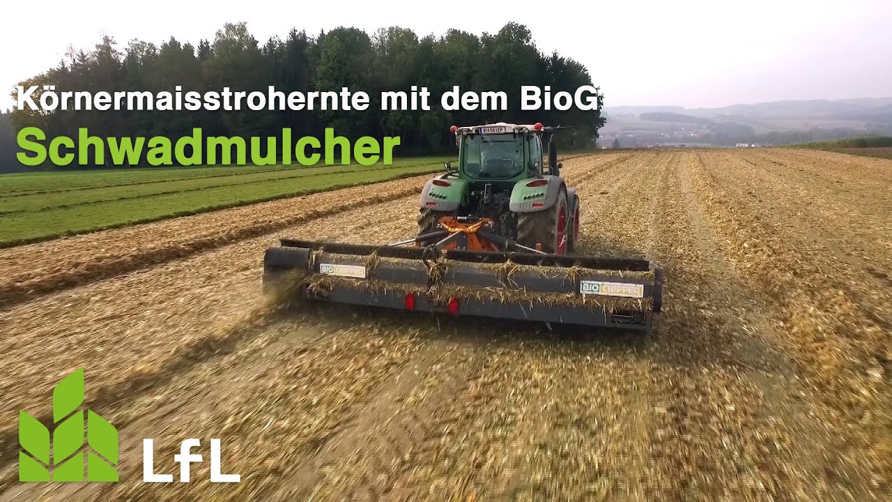 BioG Schwadmulcher (BioChipper) zur dreiphasigen Körnermaisstrohernte