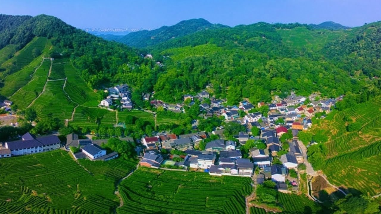 China 2020: Vision and Challenges - Ecology