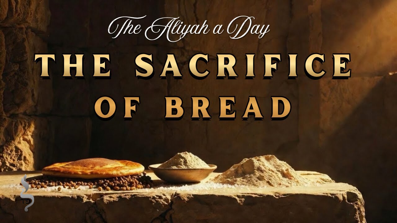 The Sacrifice of Bread | Vayikra | Aliyah 1 & 2
