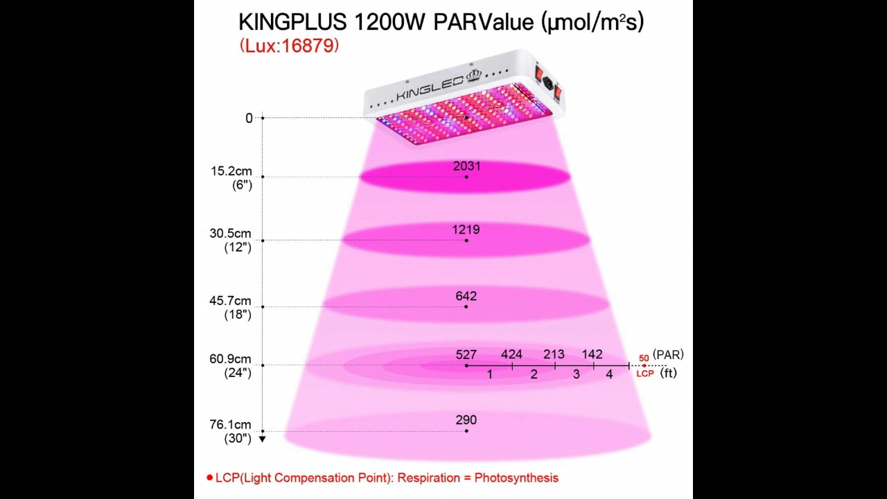 King Plus 1200w LED Grow Light Full Spectrum for Greenhouse Indoor Plant Veg and Flower