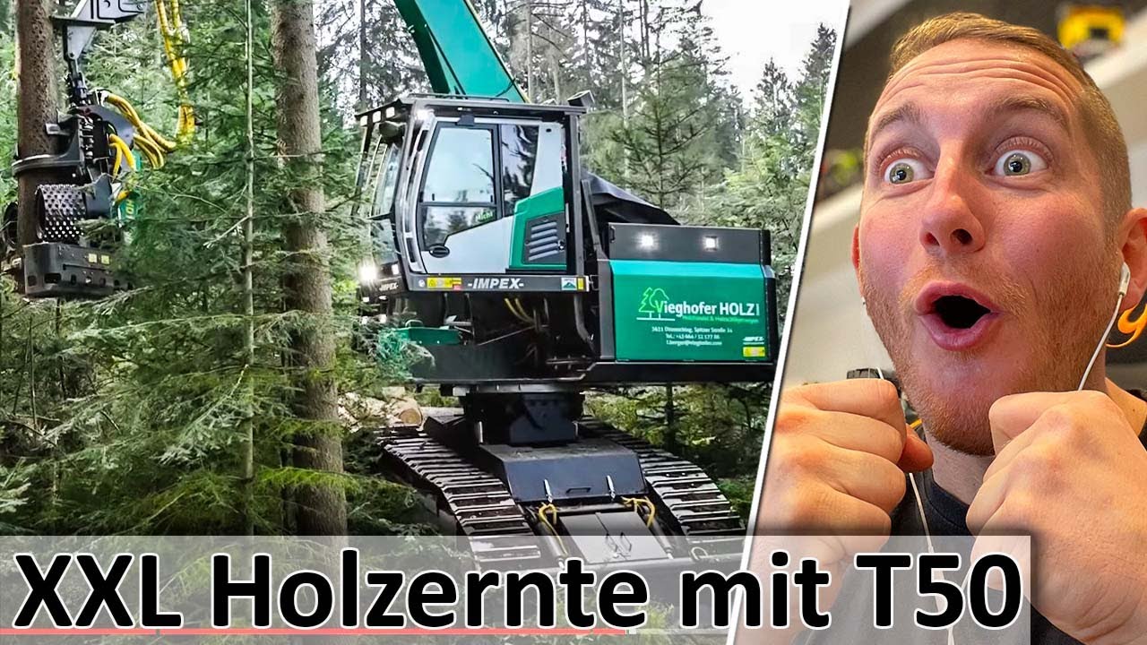 XXL Holzernte mit dem IMPEX Hannibal T50 - Größter Raupen Harvester der WELT - M4cM4nus reagiert